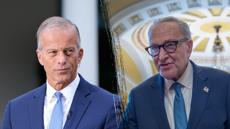 Thune calls out ‘two Americas’ as Democrats refuse to stand for war heroes, law enforcement at SOTU